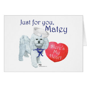 Bichon Frise Matrosen-Valentine