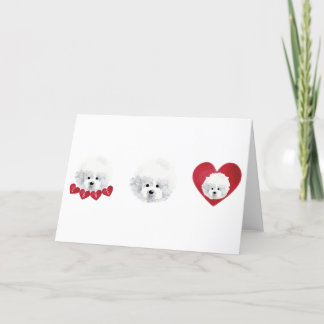 Bichon Frise _ Mischling _ Feiertagskarte