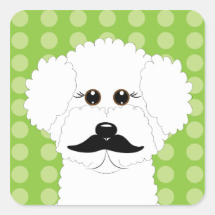 Bichon Frise mit Mustache Quadratischer Aufkleber