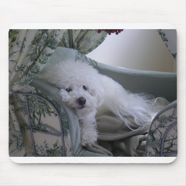 BICHON FRISE MOUSEPAD (Vorne)