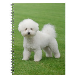 Bichon Frise Notizblock