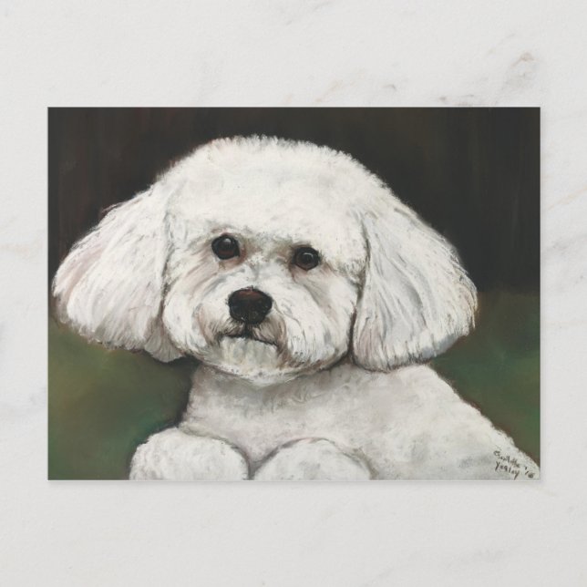 Bichon Frise Original Hund Postkarte (Vorderseite)