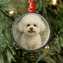 Bichon Frisé