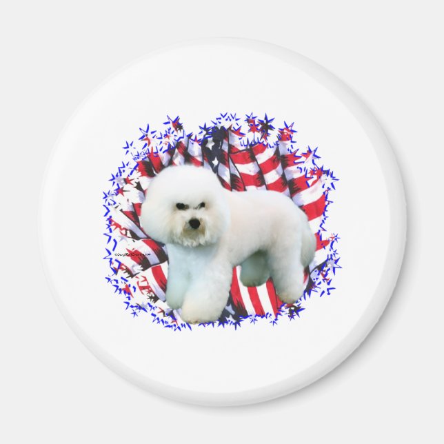 Bichon Frise Patriot Magnet (Vorne)