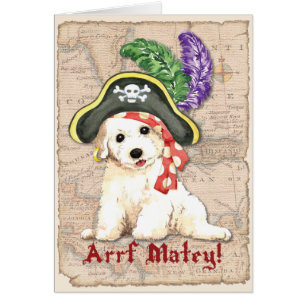Bichon Frise Piraten-Karte