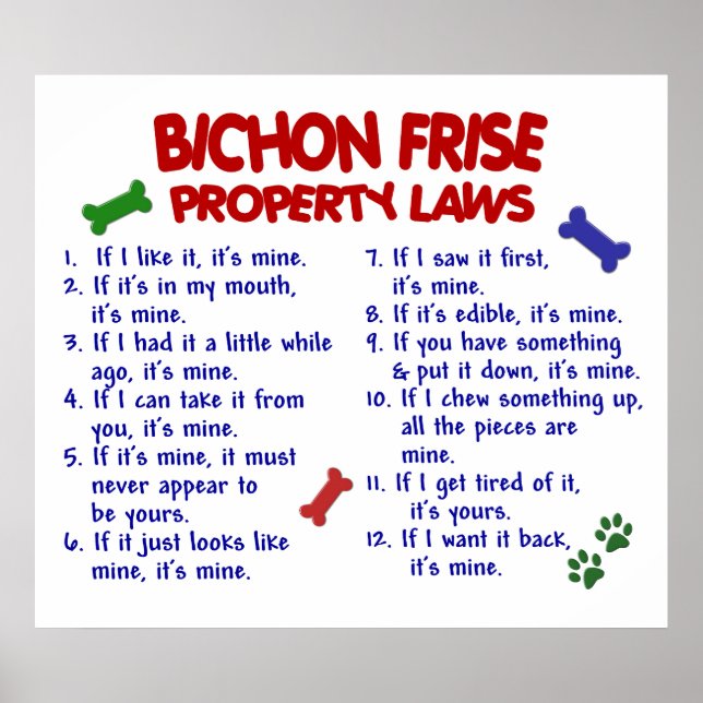 BICHON FRISE PL2 POSTER (Vorne)