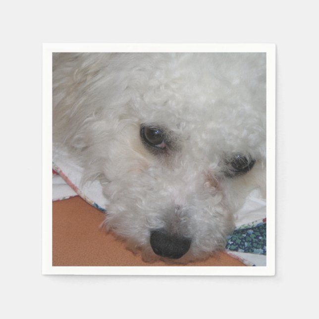 Bichon Frisé.png Serviette (Vorderseite)
