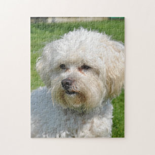Bichon Frise Portrait Puzzle