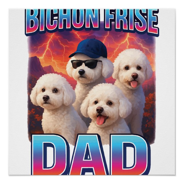 Bichon Frisé Poster (Vorderseite)
