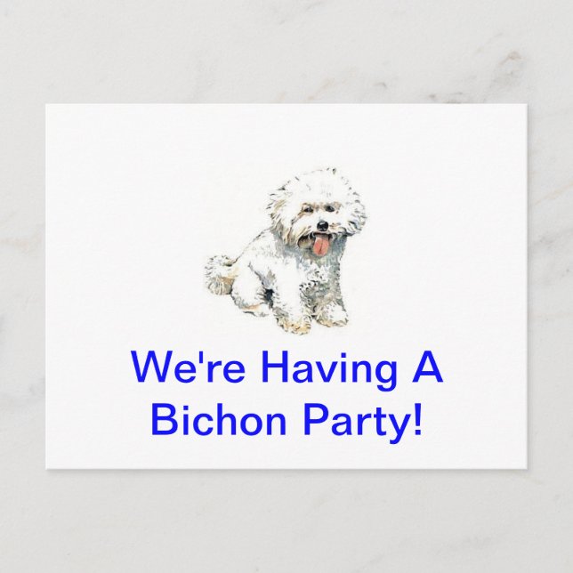 Bichon Frise Postkarte (Vorderseite)