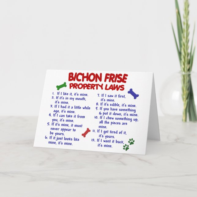 BICHON FRISE Property Laws 2 Karte (Vorderseite)