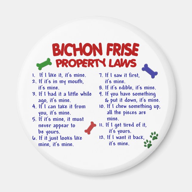 BICHON FRISE Property Laws 2 Magnet (Vorne)