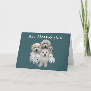 Bichon Frise Puppies Greeting Card Feiertagskarte