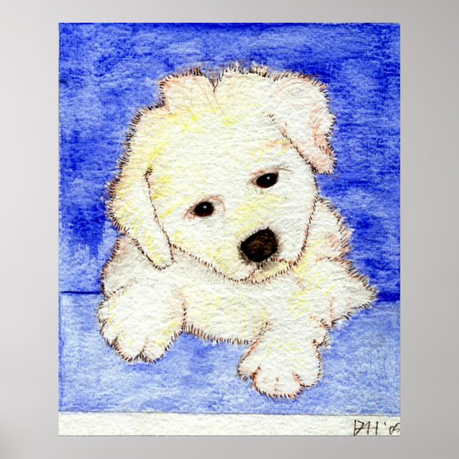 Bichon Frise Puppy Dog Portrait Poster (Vorne)