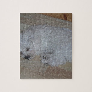 Bichon_Frise_puppy_sleeping Puzzle