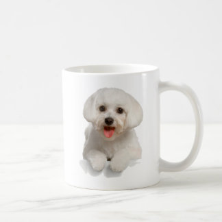 Bichon Frise Puppy Tasse