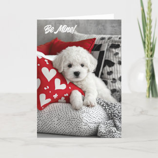 Bichon Frise Puppy Valentine Card Dankeskarte