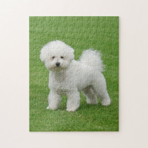 Bichon Frise Puzzle