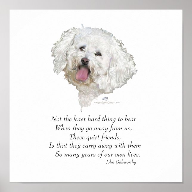 Bichon Frise Rainbow Bridge Poster (Vorne)