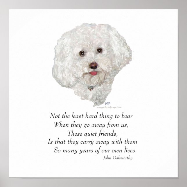 Bichon Frise Rainbow Bridge Poster (Vorne)
