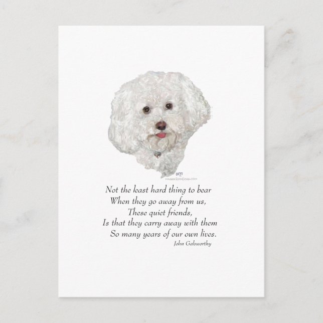 Bichon Frise Rainbow Bridge Postkarte (Vorderseite)