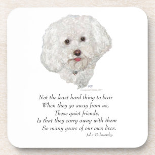 Bichon Frise Rainbow Bridge Untersetzer