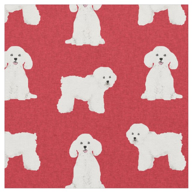 Bichon Frise, Rothundweihe Stoff (Nahaufnahme)