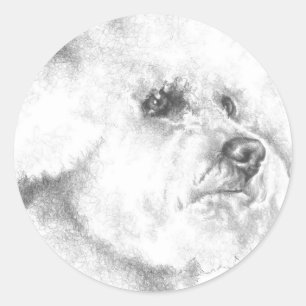 Bichon Frise Runder Aufkleber