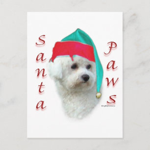Bichon Frise Santa Paws Feiertagspostkarte