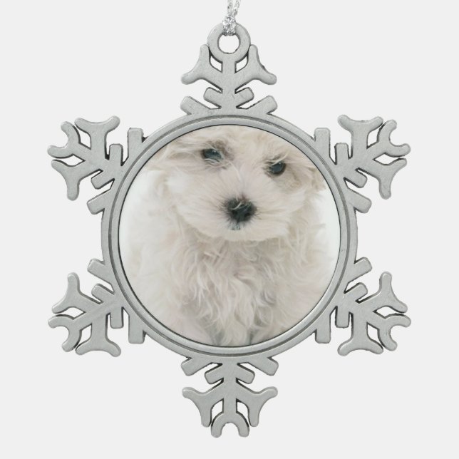 Bichon Frise Schneeflocken Zinn-Ornament (Vorderseite)