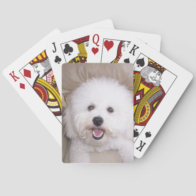 Bichon Frise Smiling Dog Playing Cards Spielkarten (Rückseite)