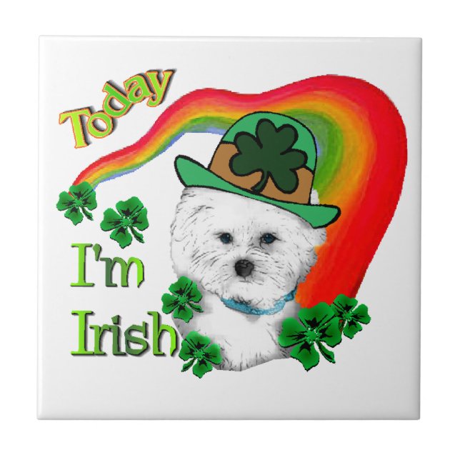Bichon Frise St Patricks Fliese (Vorderseite)