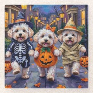 Bichon Frise Süßigkeiten-oder-Saures-Halloween-Kos Glasuntersetzer
