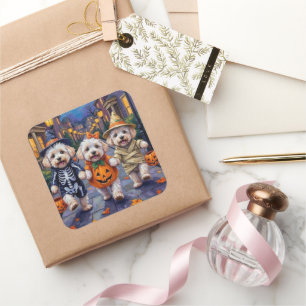 Bichon Frise Süßigkeitenbetteln Halloween Kostüme Quadratischer Aufkleber