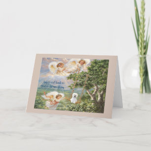 Bichon Frise Sympathy Card Karte