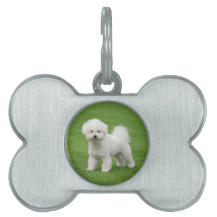 Bichon Frise Tiermarke