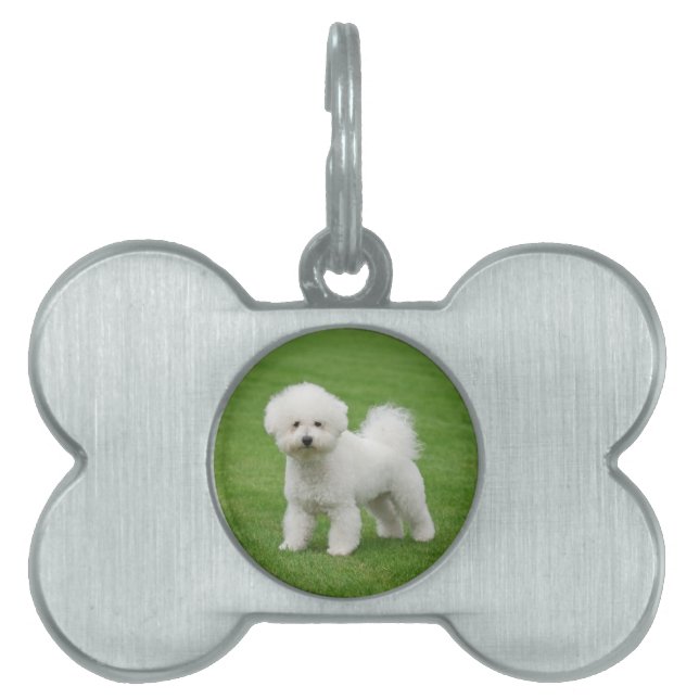 Bichon Frise Tiermarke (Vorderseite)