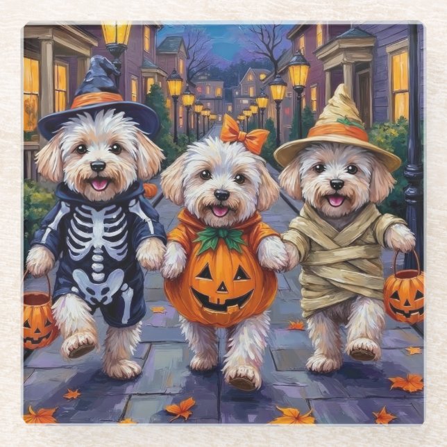 Bichon Frise Trick-oder-Treating Halloween-Kostüme Glasuntersetzer (Vorderseite)