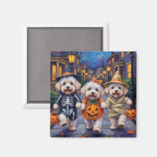 Bichon Frise Trick-oder-Treating Halloween-Kostüme Magnet (Vorderseite/Rückseite)