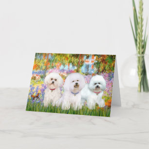Bichon Frise Trio - Garden (VG) Karte