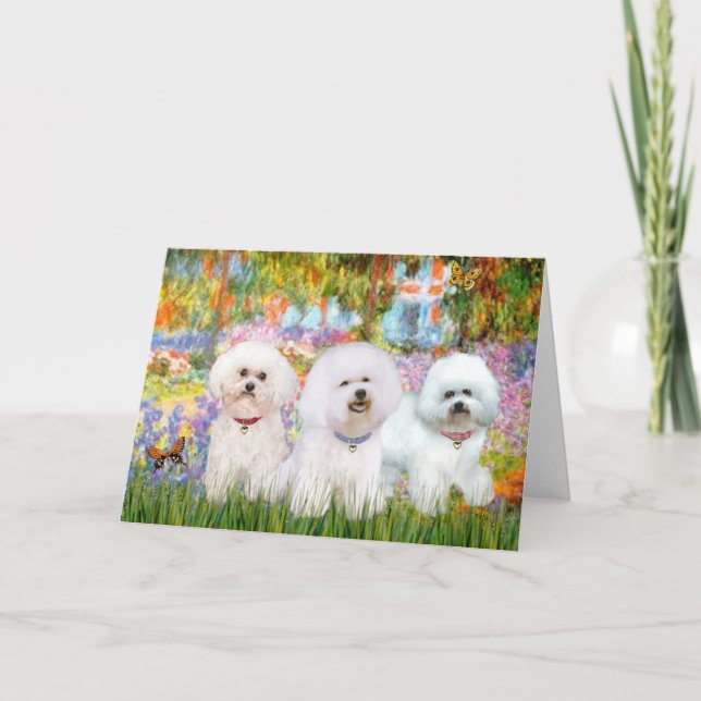 Bichon Frise Trio - Garden (VG) Karte (Vorderseite)