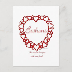 Bichon Frise True Love Postkarte