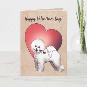 Bichon Frise Valentine's Day Card Feiertagskarte