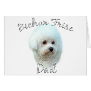 Bichon Frise Vater 2