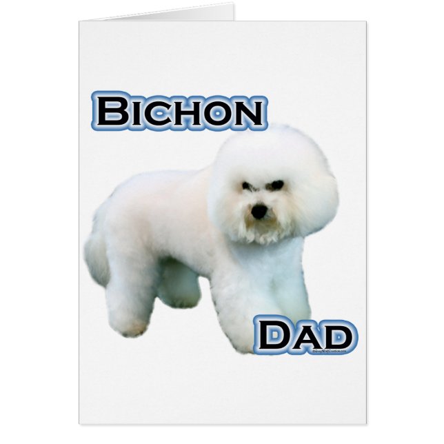Bichon Frise Vater 4 (Vorne)
