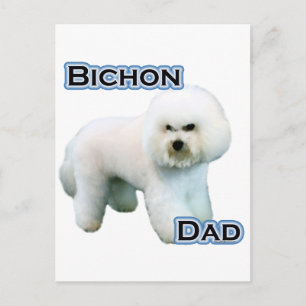 Bichon Frise Vater 4 Postkarte