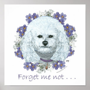 Bichon Frise - Vergiss mich Nots Poster