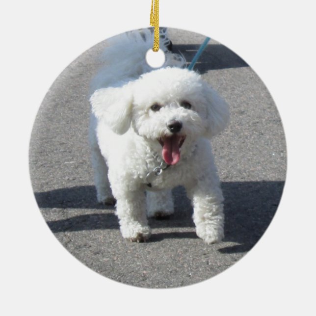 Bichon Frise Verzierung Keramikornament (Hinten)