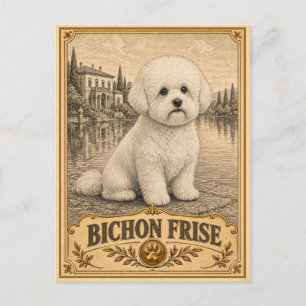 Bichon Frise, Vintage Heritage Hund Postkarte