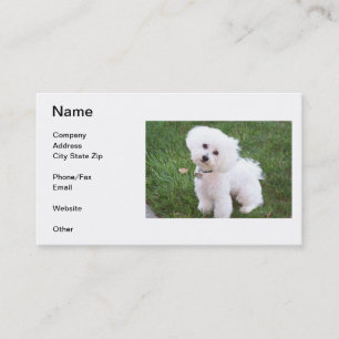 Bichon Frise Visitenkarte